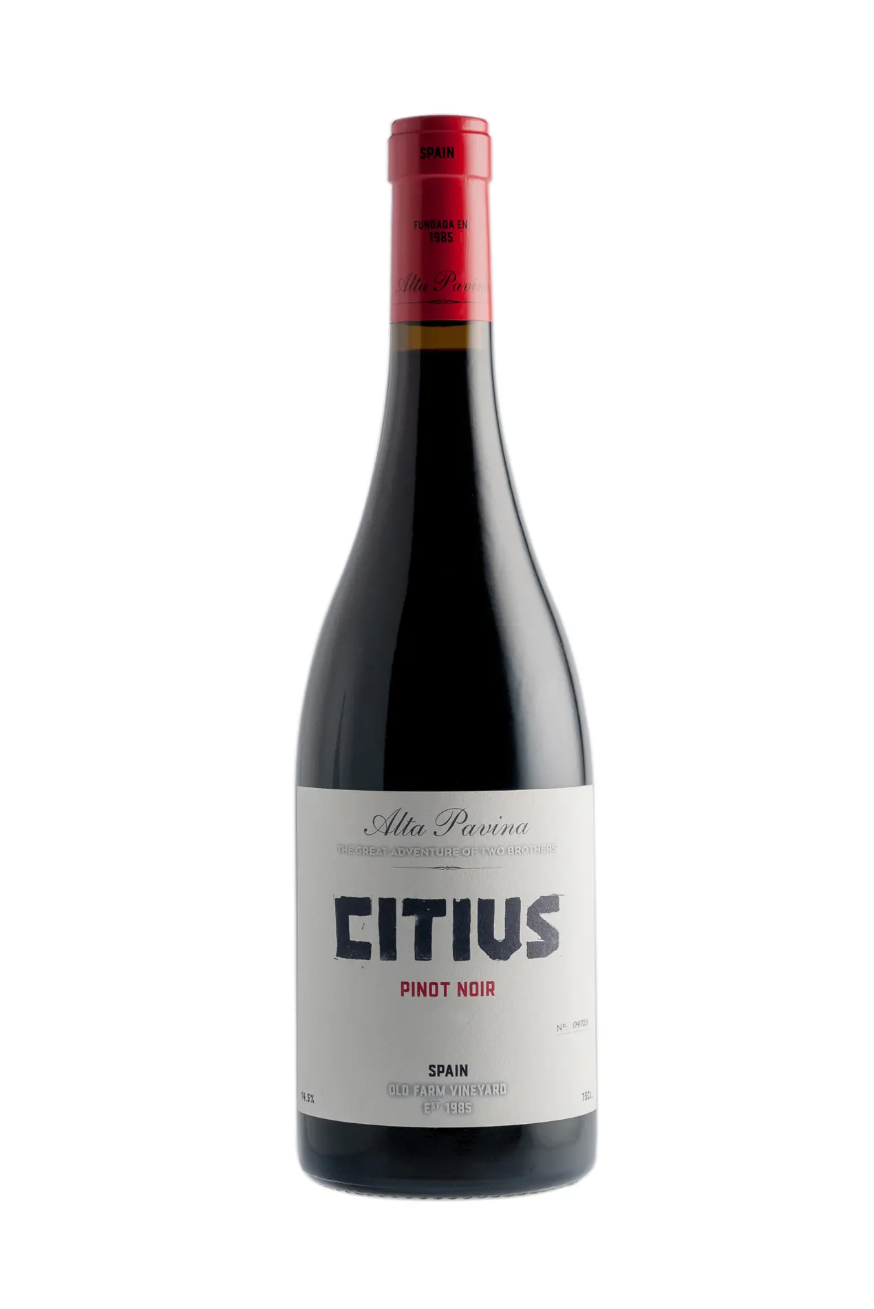 Great Wines From Spain citius.webp